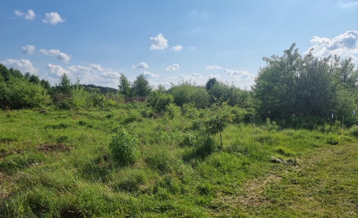 działka na sprzedaż - Koronowo, Pieczyska