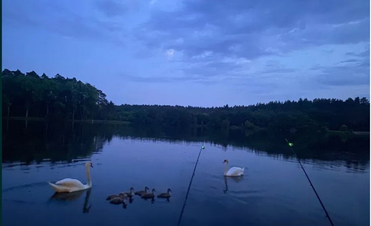 dom na sprzedaż - Koronowo (gw), Samociążek