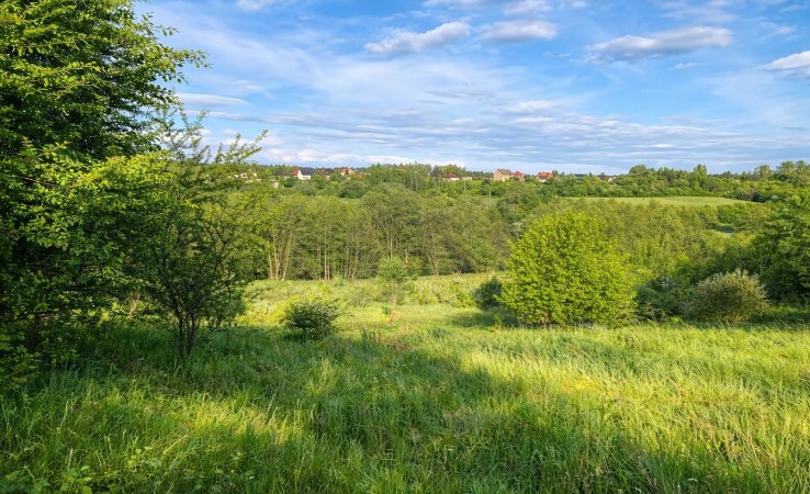 działka na sprzedaż - Koronowo (gw), Okole